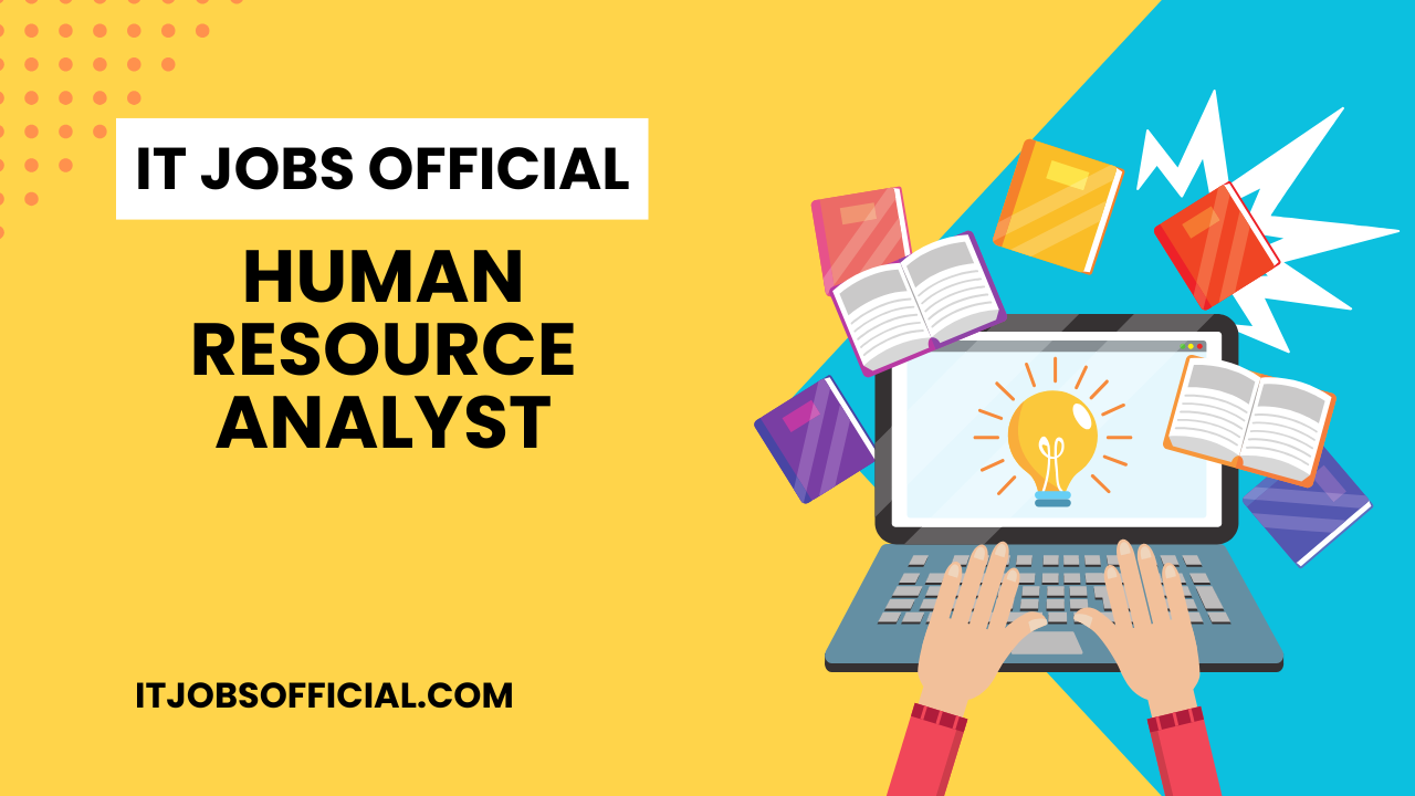 Read more about the article Human Resource Analyst